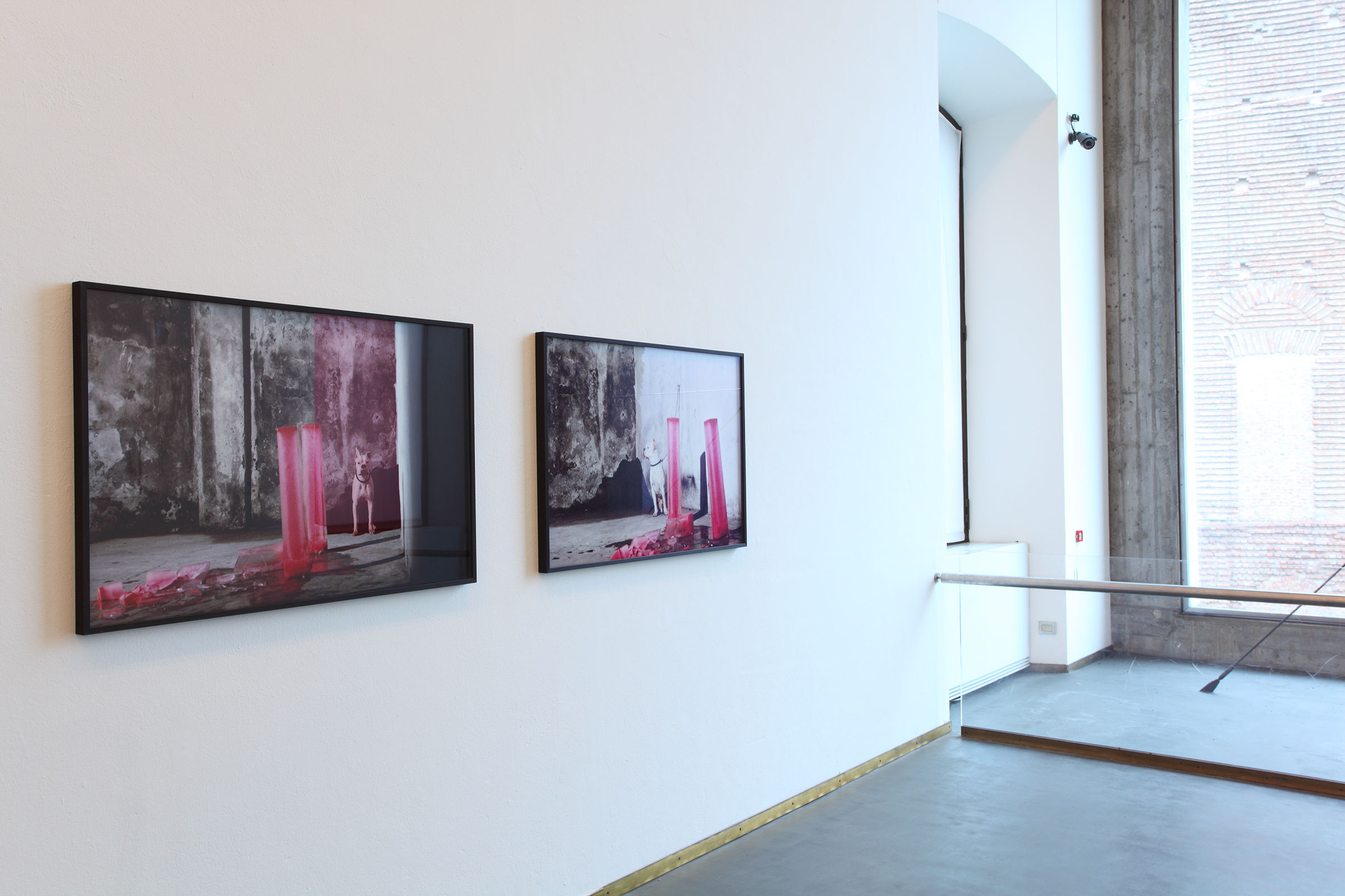 Paolo Pellion, Performance di Pier Paolo Calzolari alla Galleria Marinucci-nRusso, 1974